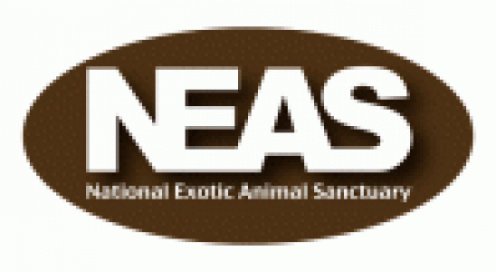 NEAS-logo-resize